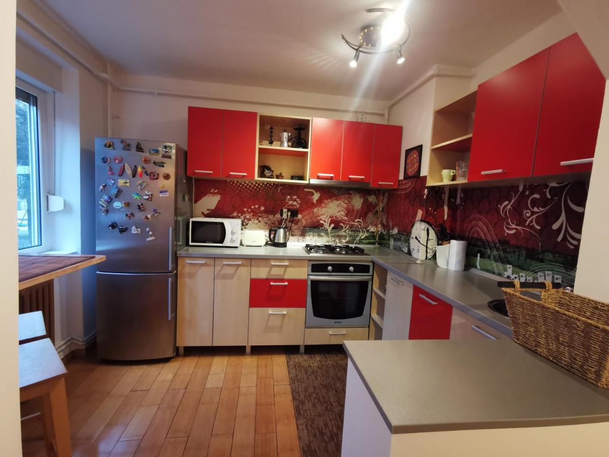 Comfy & Pleasant Apartment 10 Min Walk To Downtown Timisoara Bagian luar foto