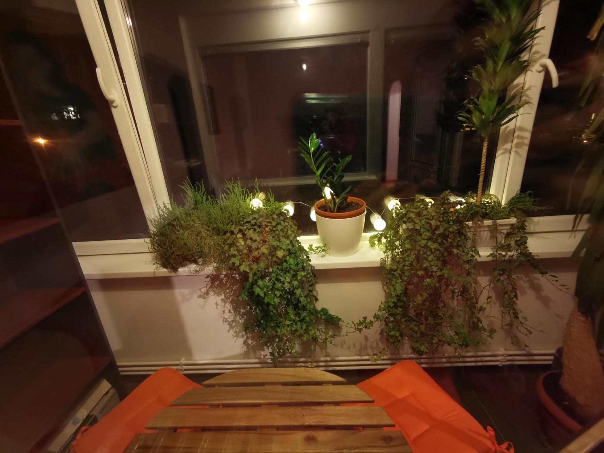 Comfy & Pleasant Apartment 10 Min Walk To Downtown Timisoara Bagian luar foto